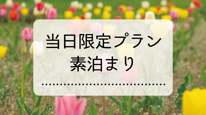 【当日限定】今日、宿をお探しの方必見！！／素泊り